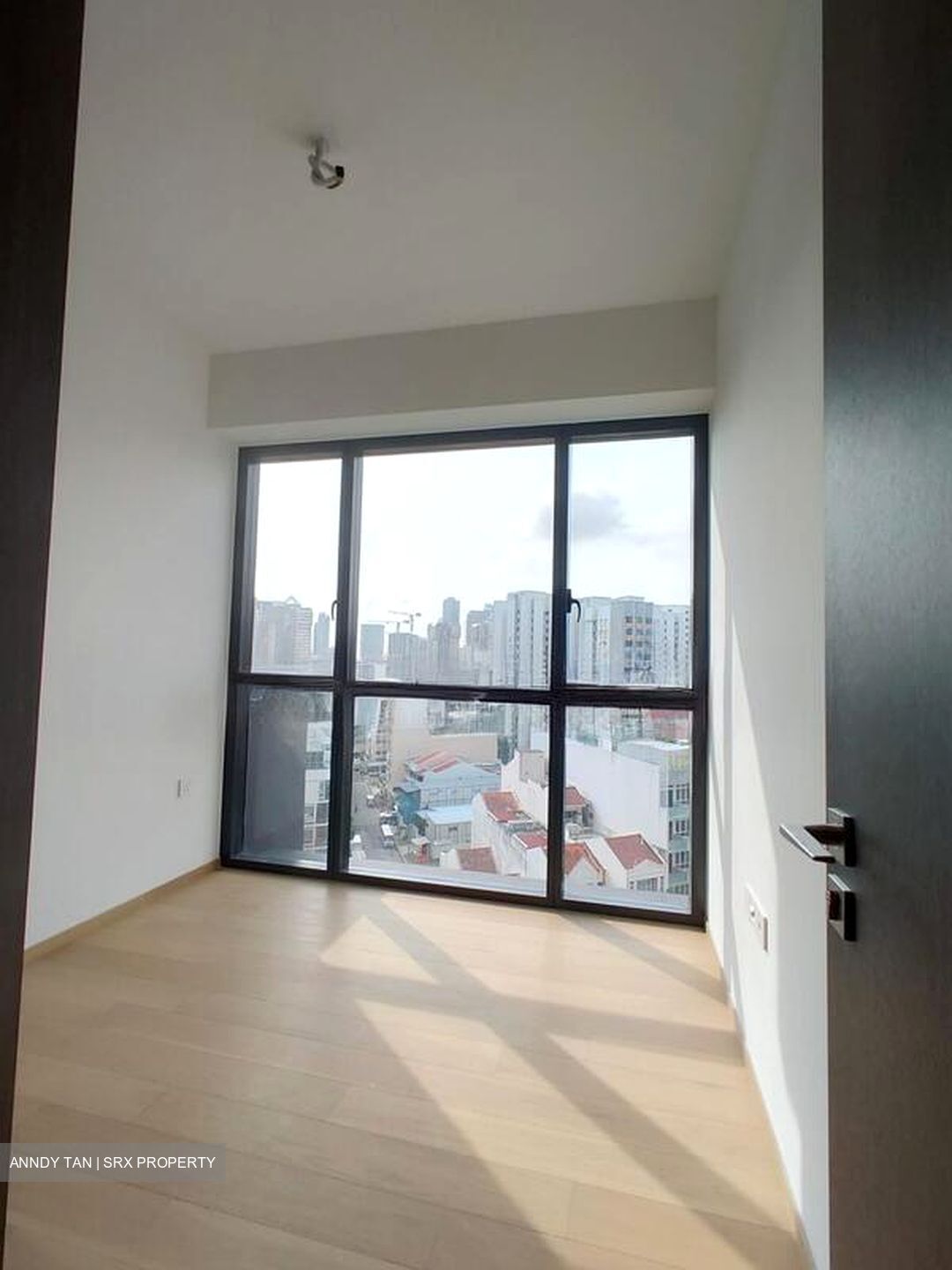 Piccadilly Grand (D8), Apartment #519828721